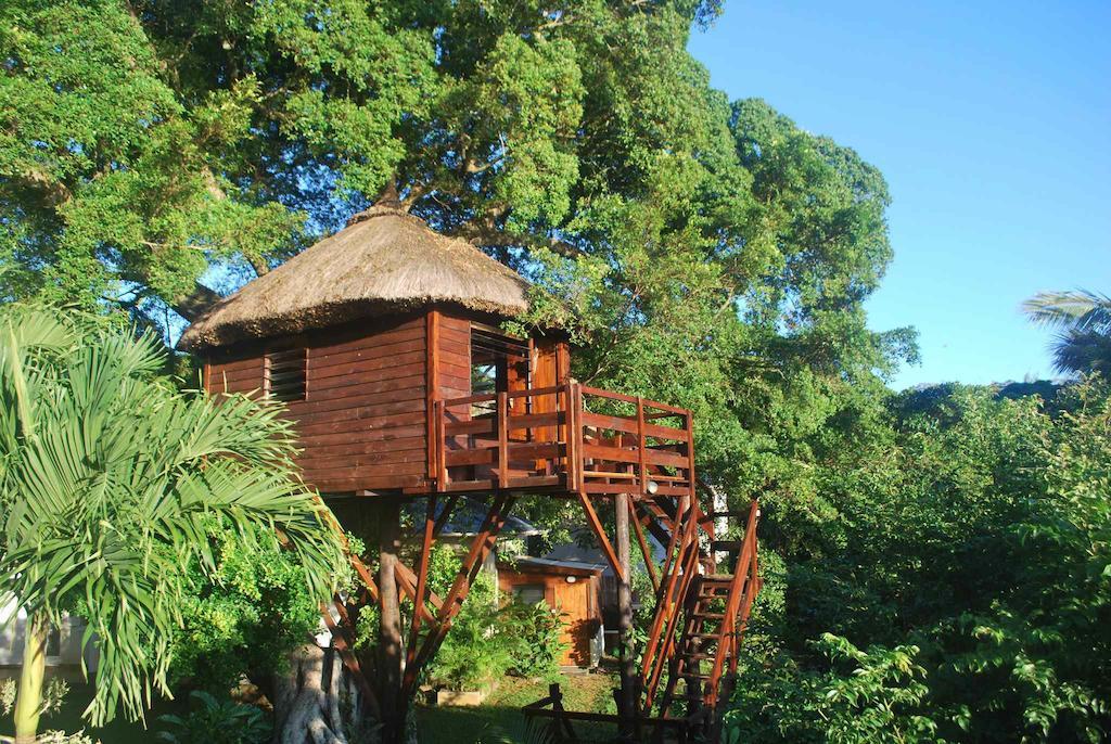 Tree Lodge Mauritius Belle Mare Room photo